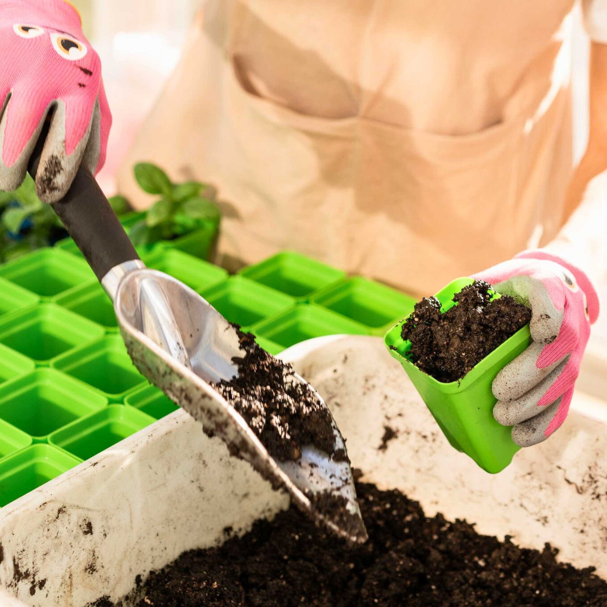 starter planter pots Seed Starter Pots