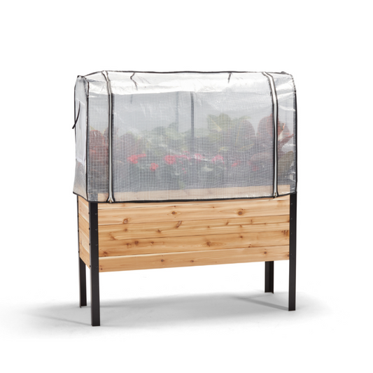 Wooden raised garden bed with plants and a greenhouse cover closed on a white background