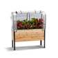Wooden raised garden bed with plants and a greenhouse cover open on a white background