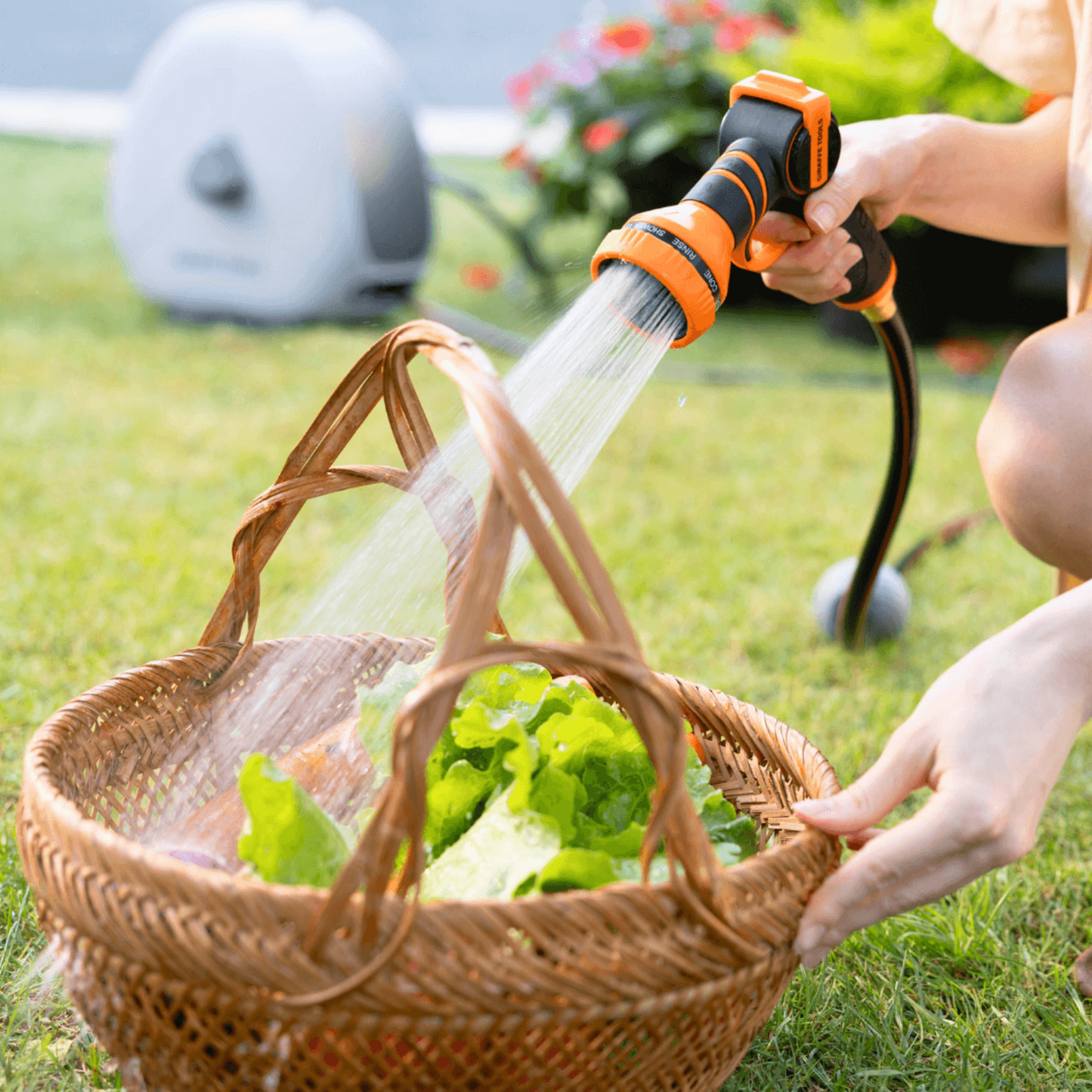 Person watering lettuce in a basket with a garden hose on a grassy area with the hose coming from the ground-mounted retractable garden hose reel.