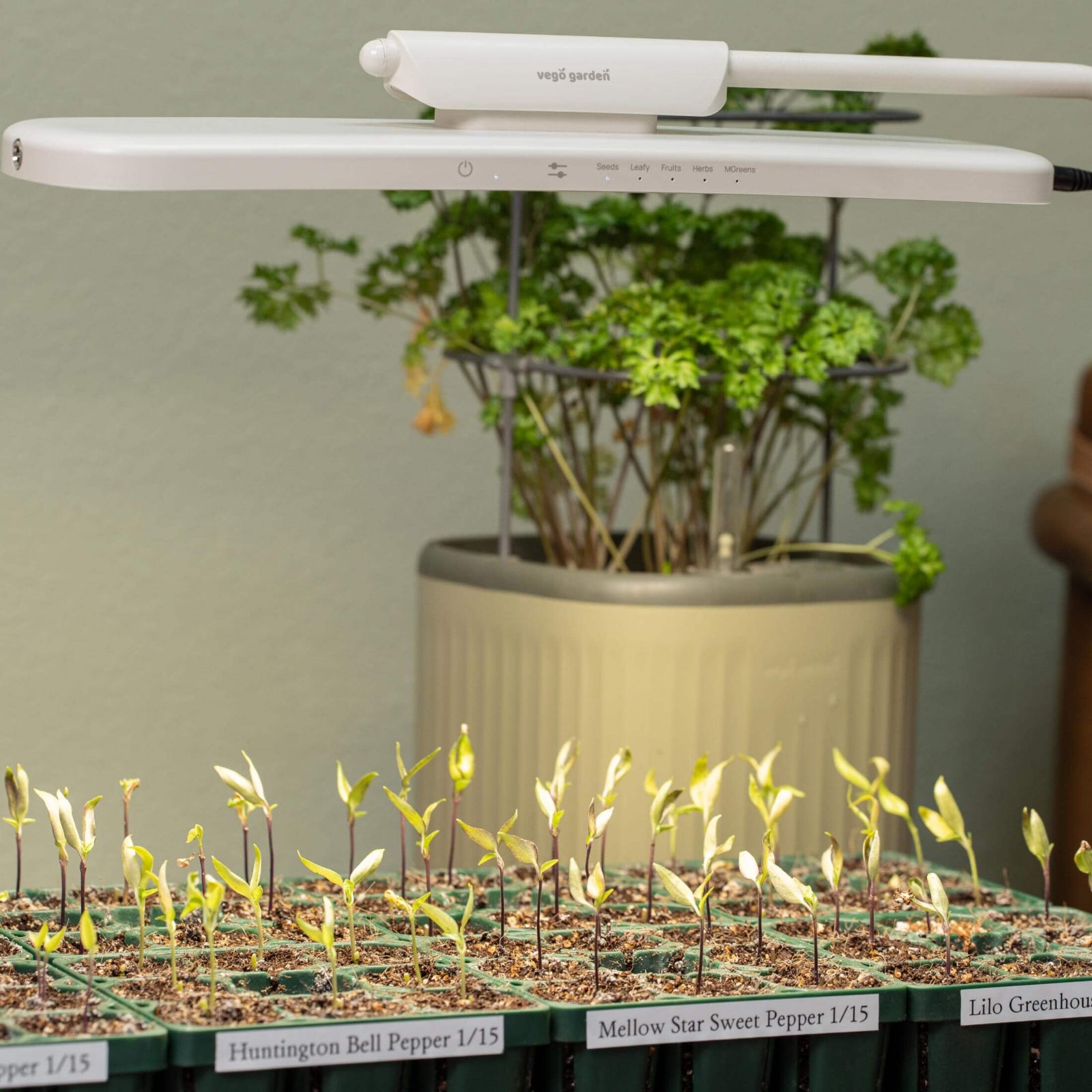 Grow Light Stand – Classic with Full-Spectrum LED – Pepper Joe's