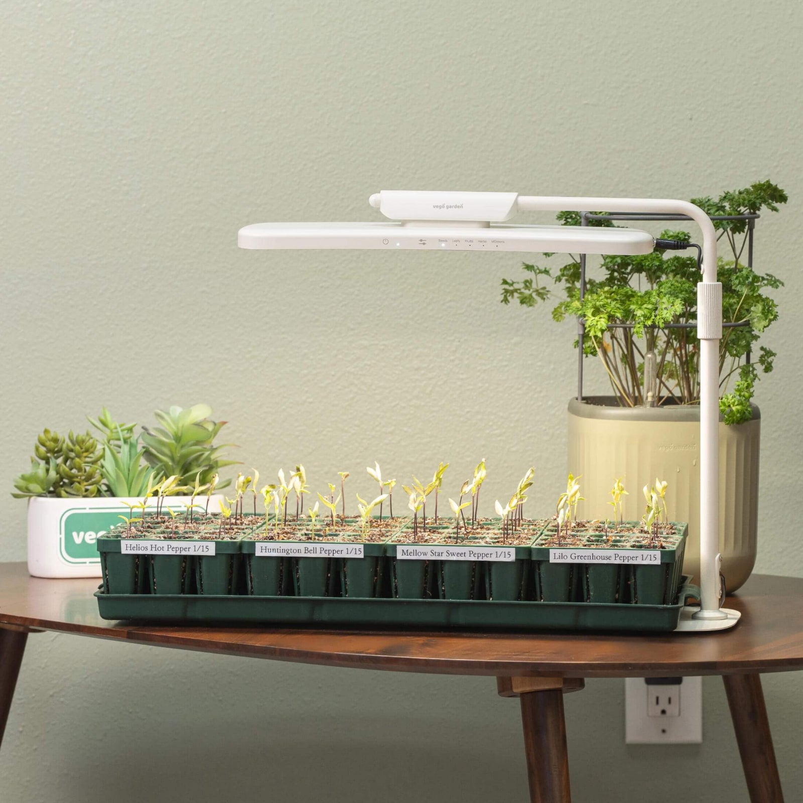 Grow Light Stand – Classic with Full-Spectrum LED – Pepper Joe's