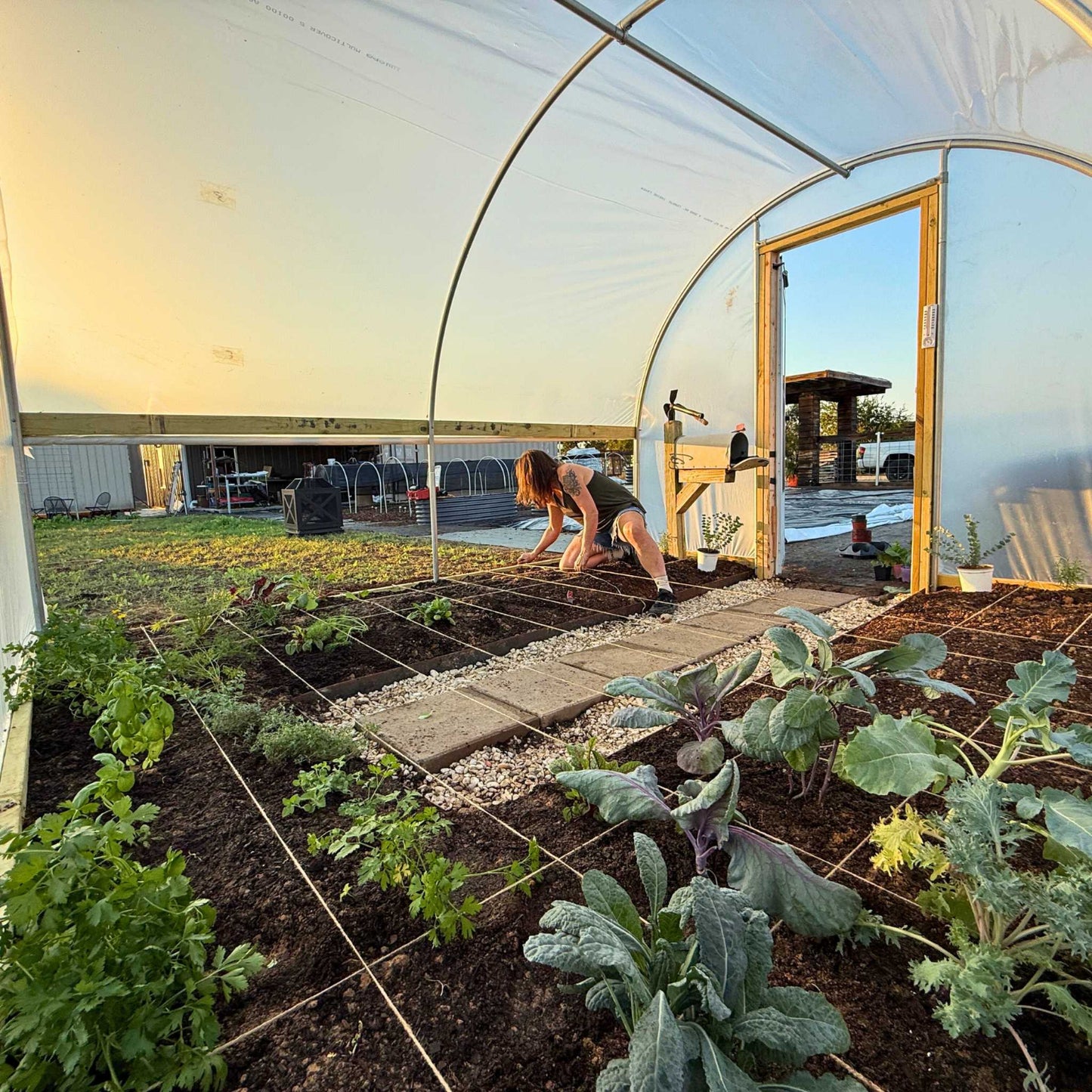 Person working in a greenhouse with plants and tools