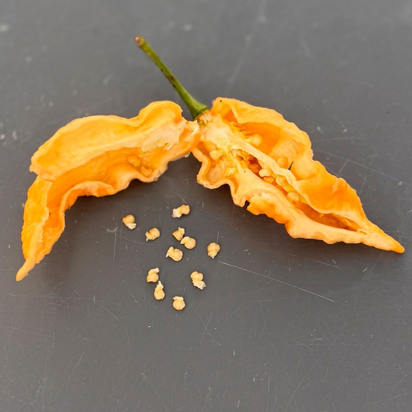Jay's Peach Ghost Scorpion Pepper Seeds