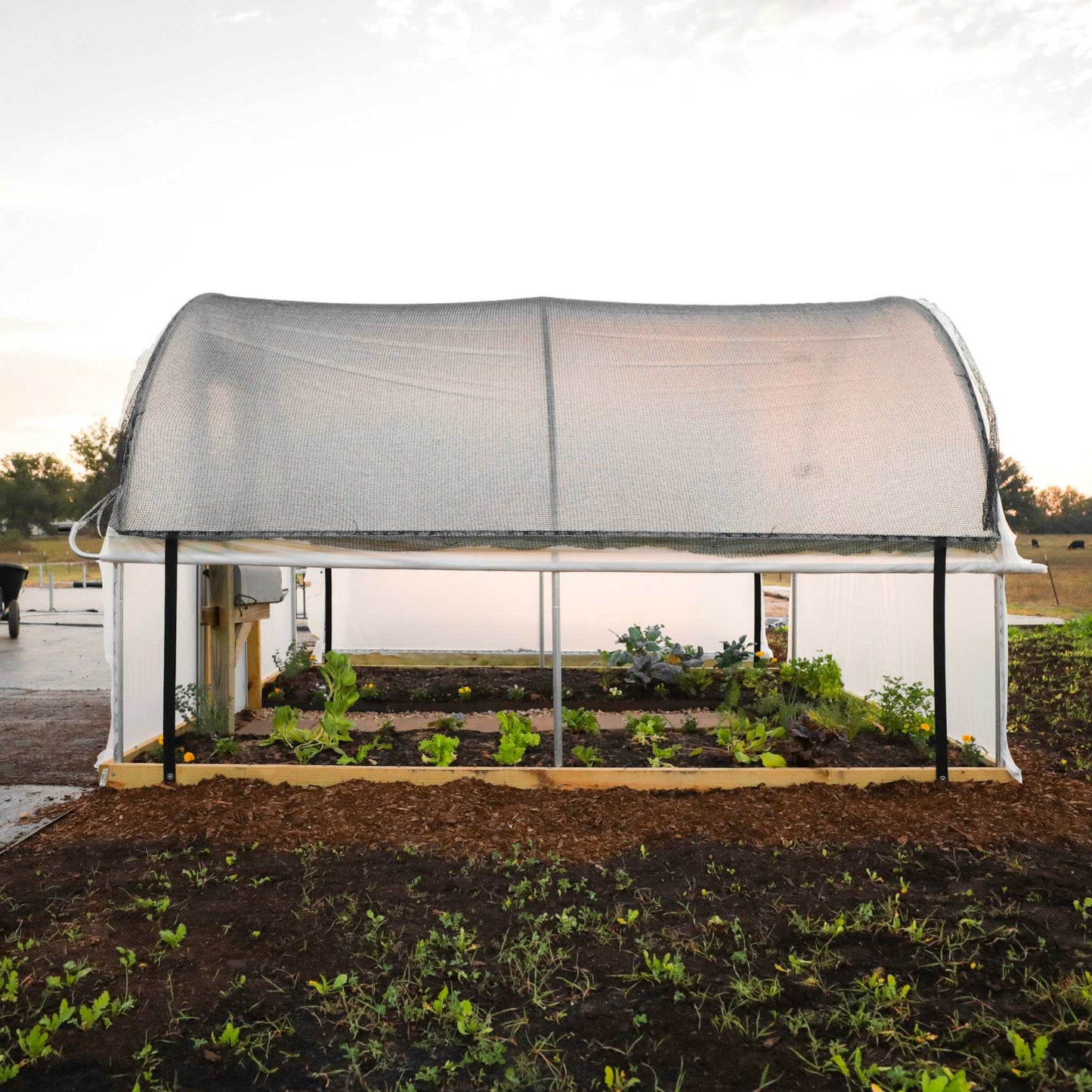 Rollup Kit installed on a Hobby Greenhouse in a garden setting. 