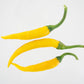 3 Kristian peppers on white