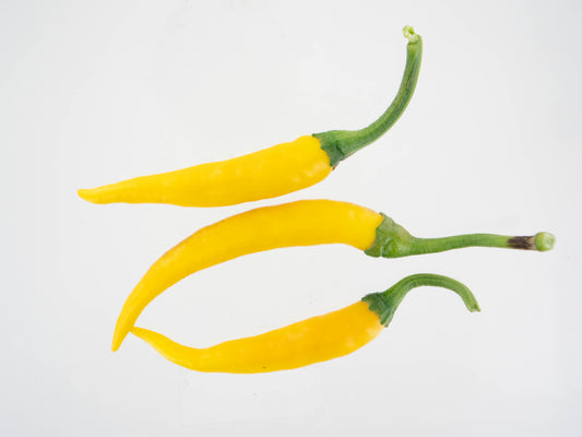 3 Kristian peppers on white