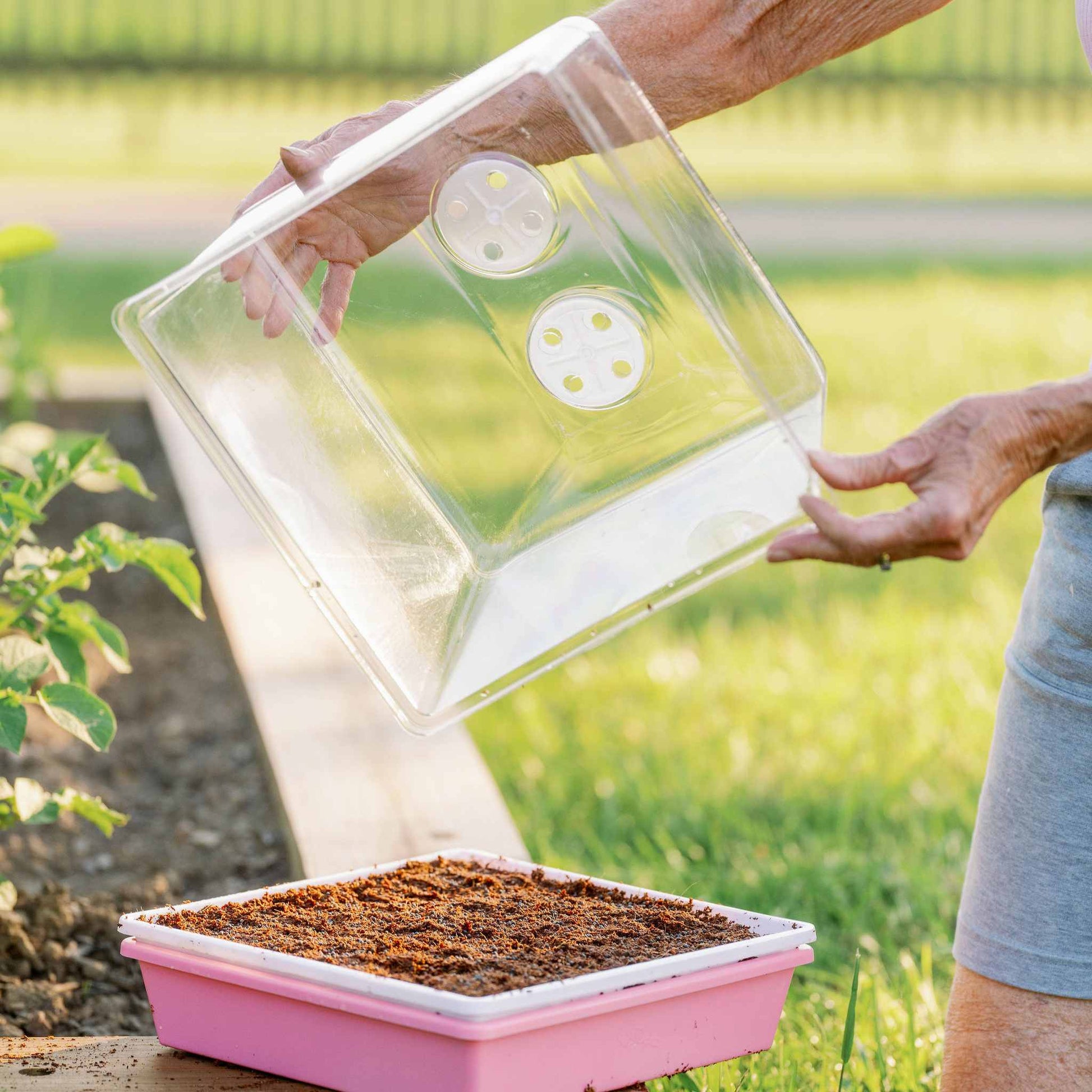 humidity tent 1010 Humidity Dome Tray Lids 60 Domes / Clear
