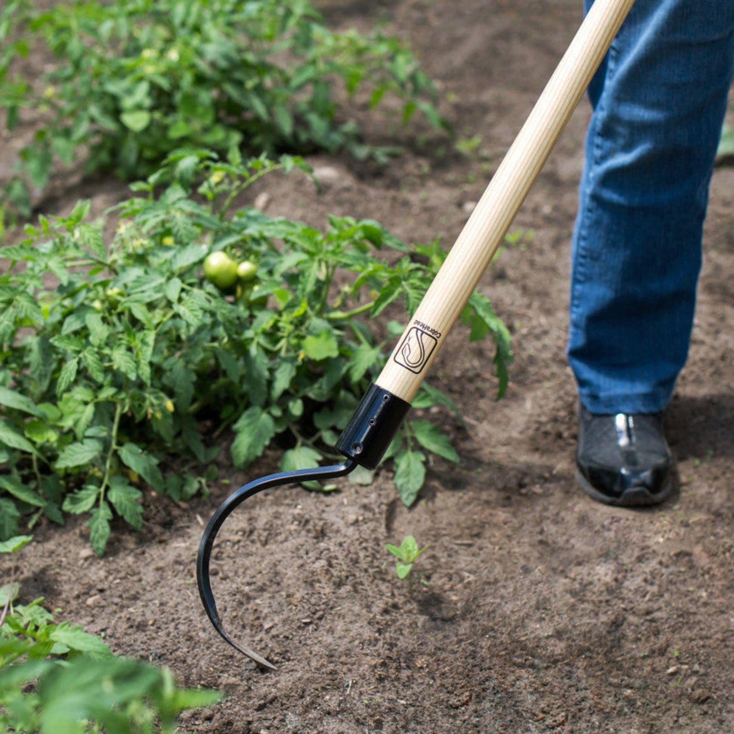 Person weeding with a Long Handle Weeder & Cultivator Garden Tool in a vegetable garden.