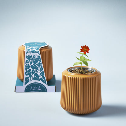 Kits de cultivo de flores