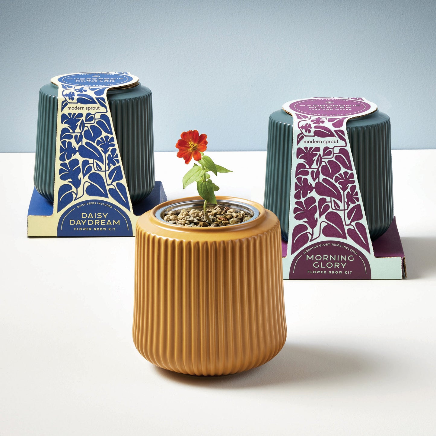 Kits de cultivo de flores