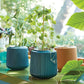 Kits de cultivo de flores