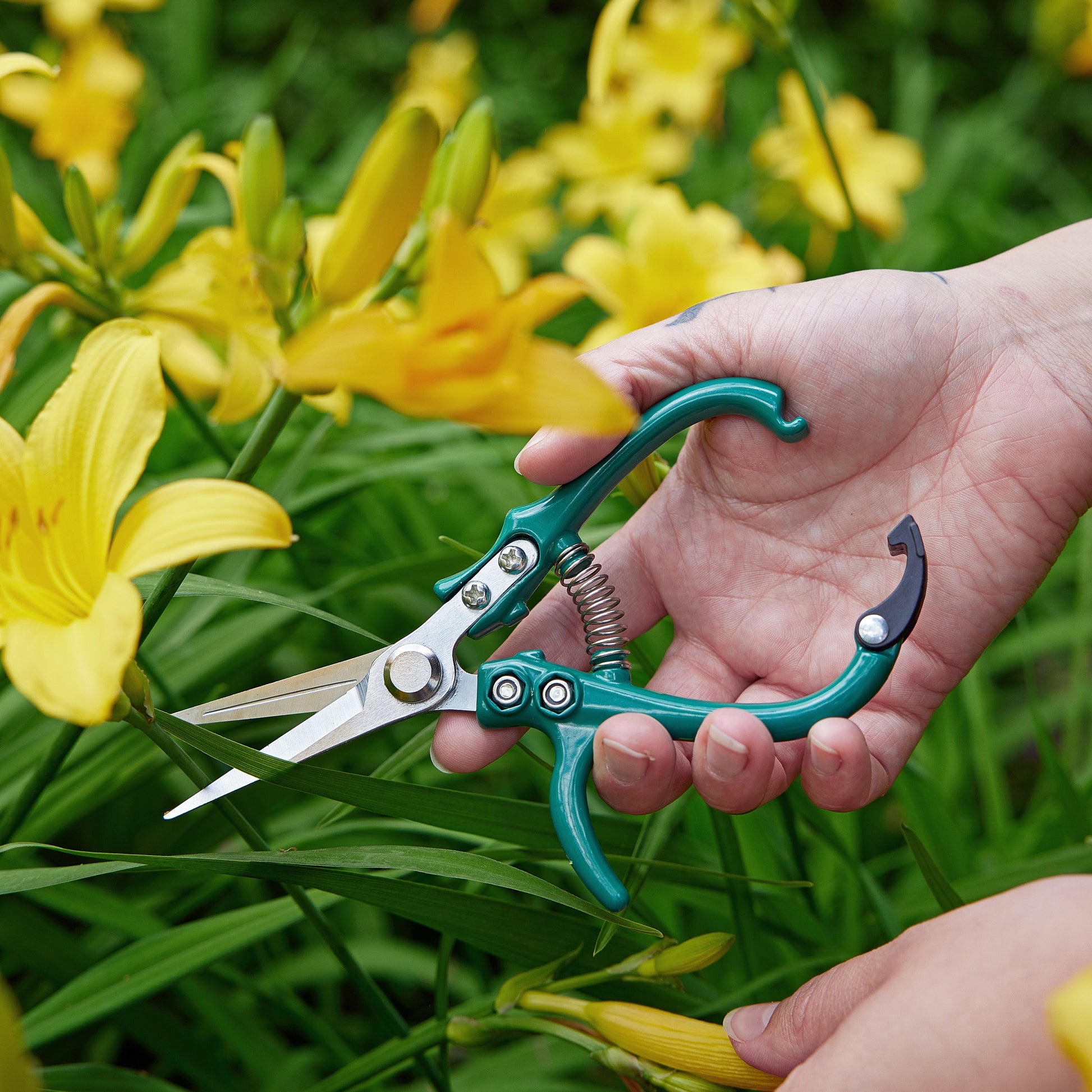 best pruning shears for indoor plants Gardening Shears & Pruners Shears 1pk