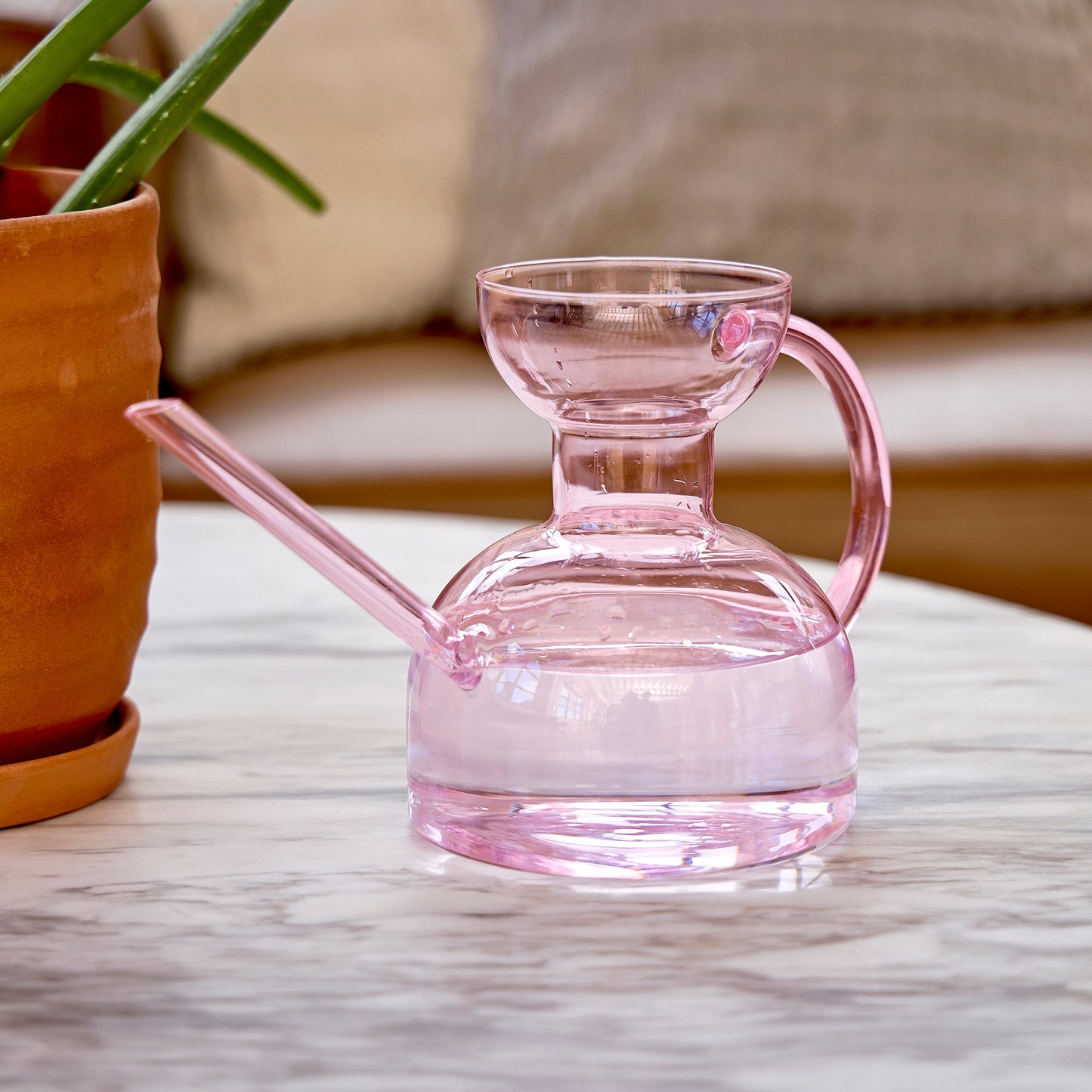 Glass Watering Can