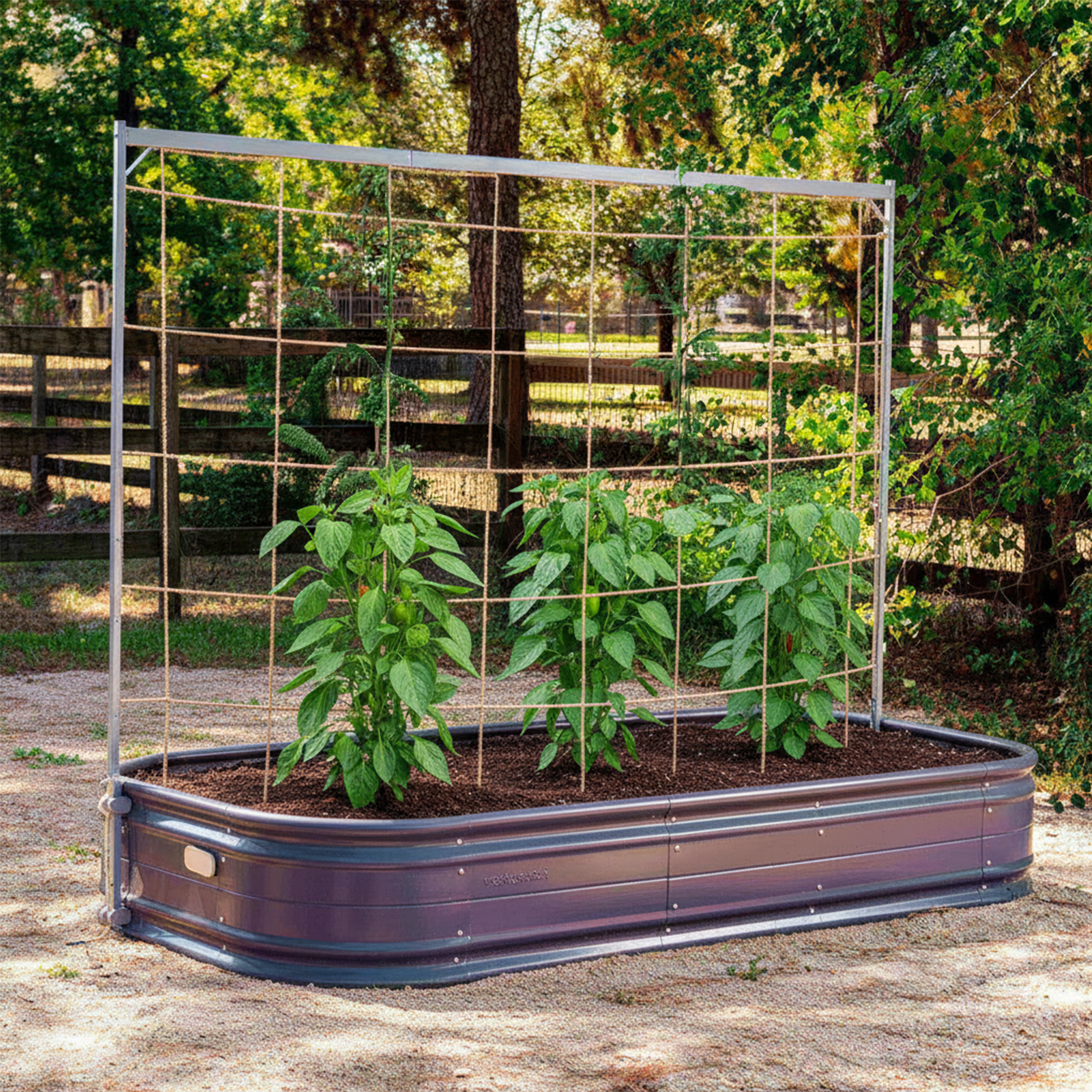 Classic Collection – Pepper Joe’s