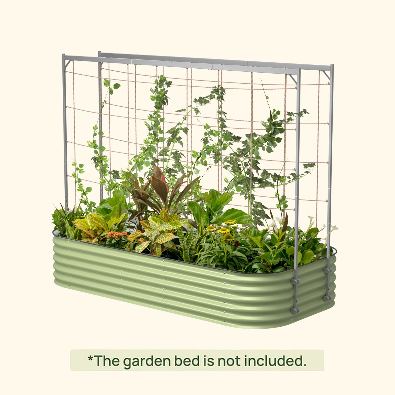Metal Frame String Trellis for Raised Garden Beds – Pepper Joe’s