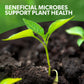 Young plant sprout in soil with text 'Beneficial Microbes Support Plant Health' on a green background