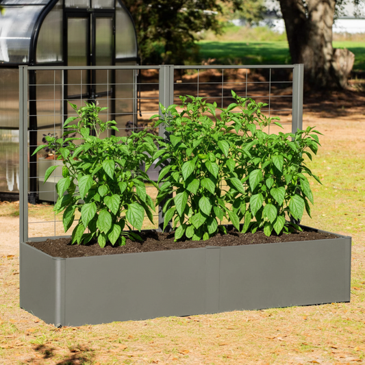 Image of urban charcoal raised garden bed with trellis installed and pepper plants growing in the planter using the trellis for support.