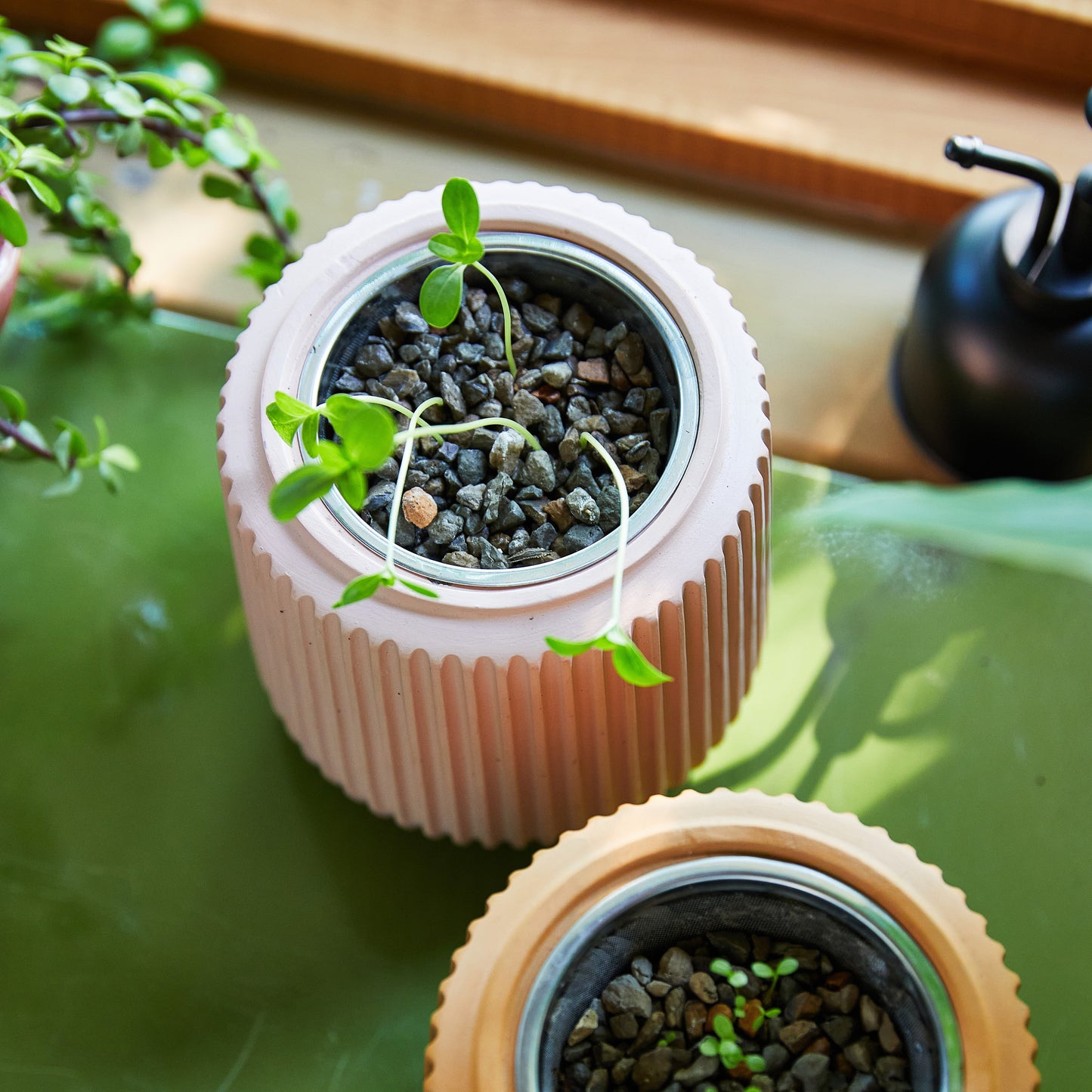 Kits de cultivo de flores