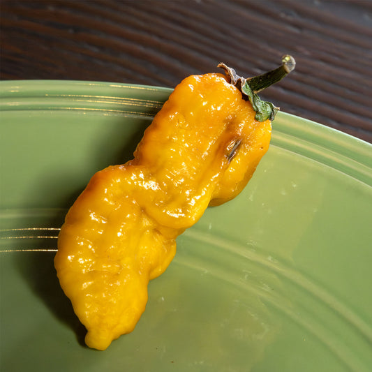 Semillas de pimiento amarillo Naga Bubblegum (7 unidades)