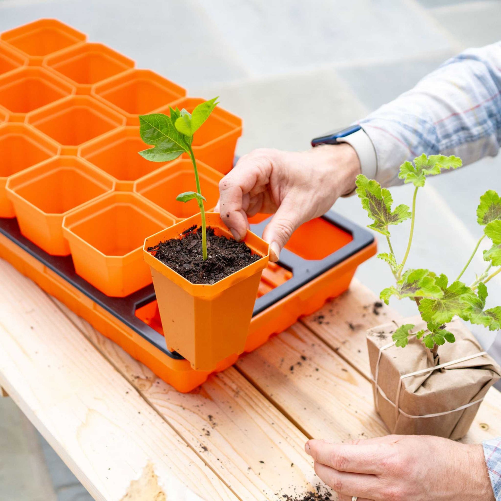 potted plant insert 3.3" Heavy Duty Seed Starting Pots with Inserts Multicolor / 36 Pots - 2 Inserts
