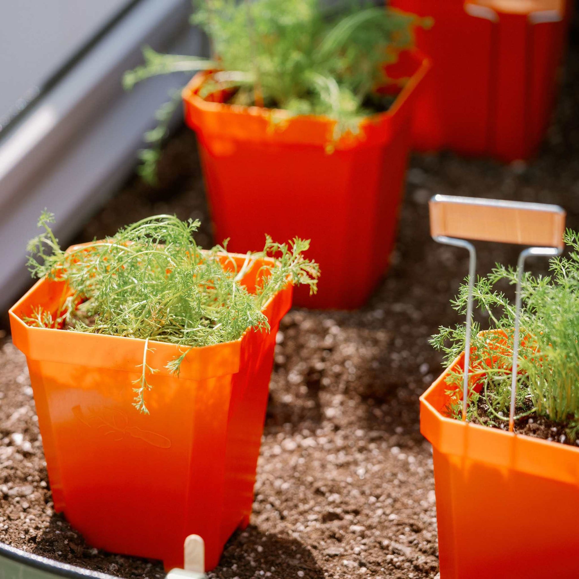 orange plastic plant pots 5" Heavy Duty Nursery Pots – Pepper Joe's