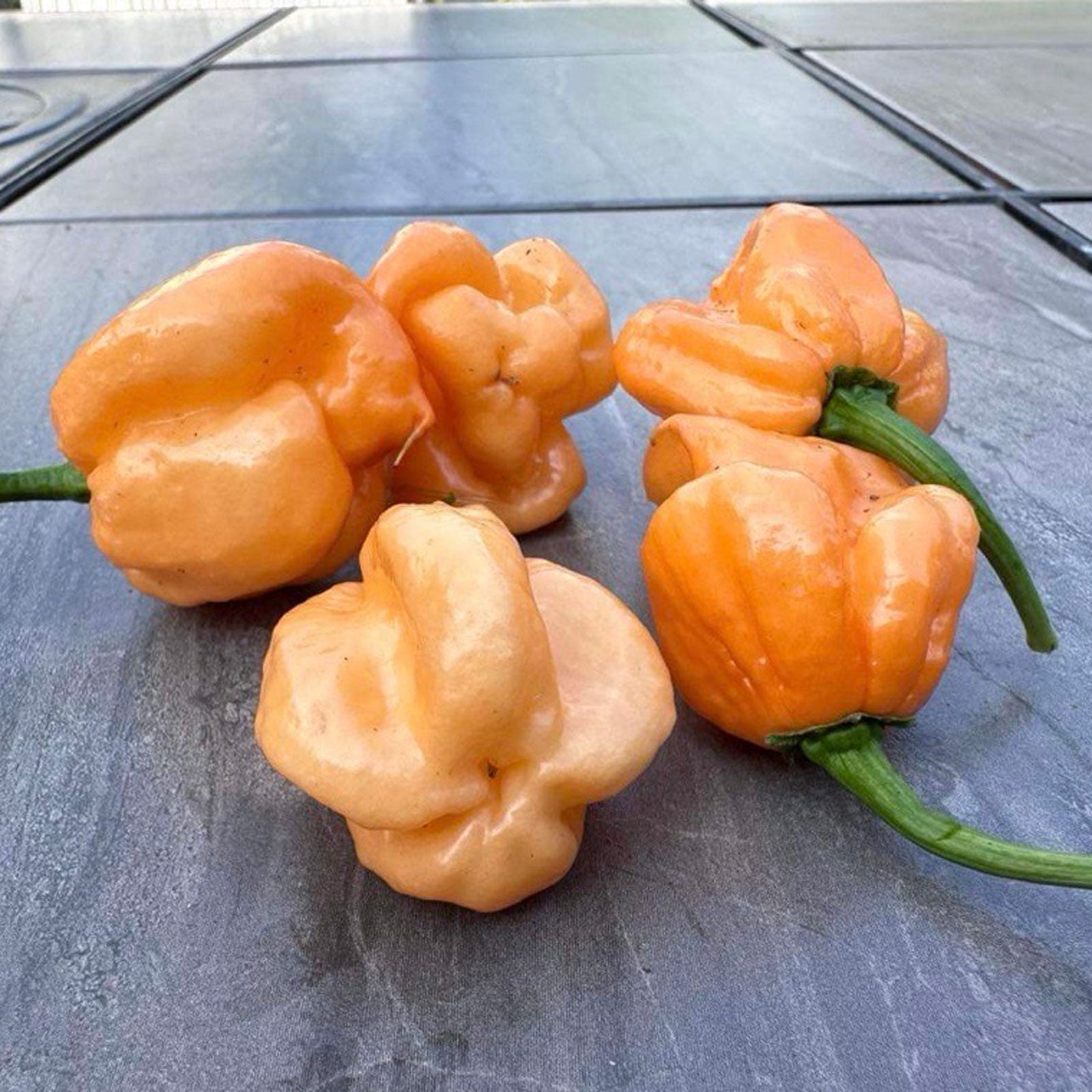 Peach Scotch Bonnet Pepper Seeds