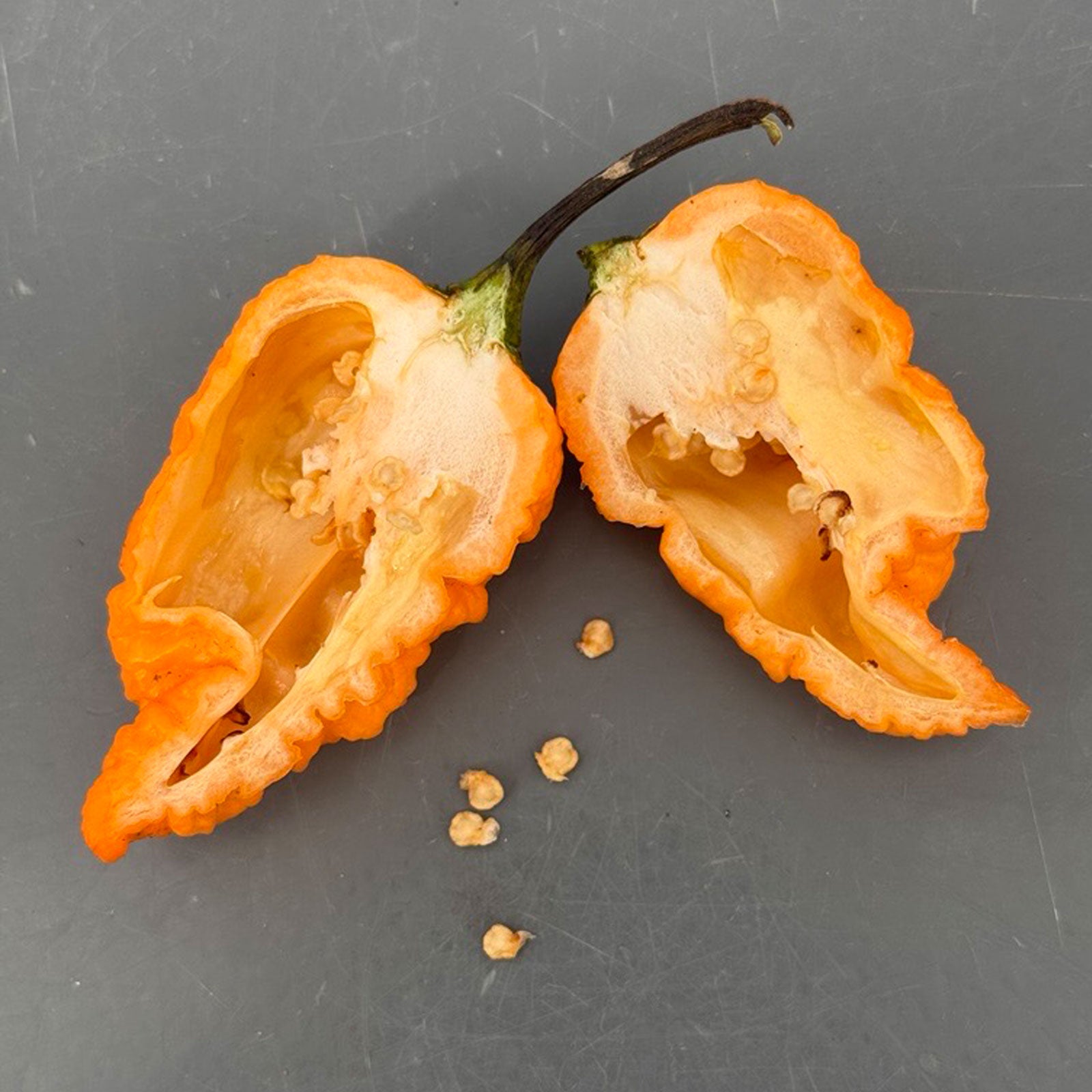 pepper Peach Carolina Reaper Pepper Seeds – Pepper Joe's