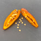 Pepper Joe's Puma pepper. Mature pepper shown to represent seeds for sale, cut open to display seeds inside on gray table