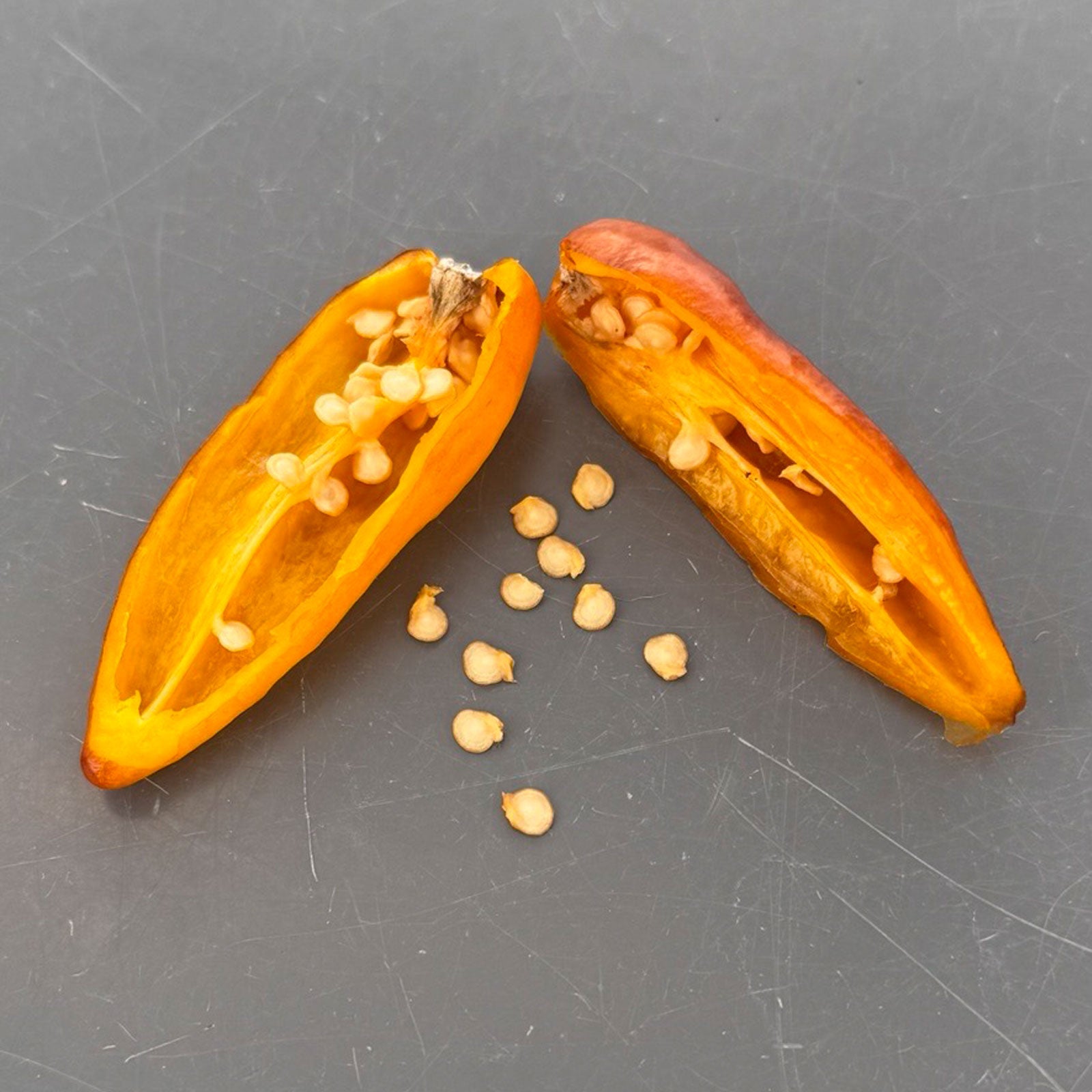 Pepper Joe's Puma pepper. Mature pepper shown to represent seeds for sale, cut open to display seeds inside on gray table