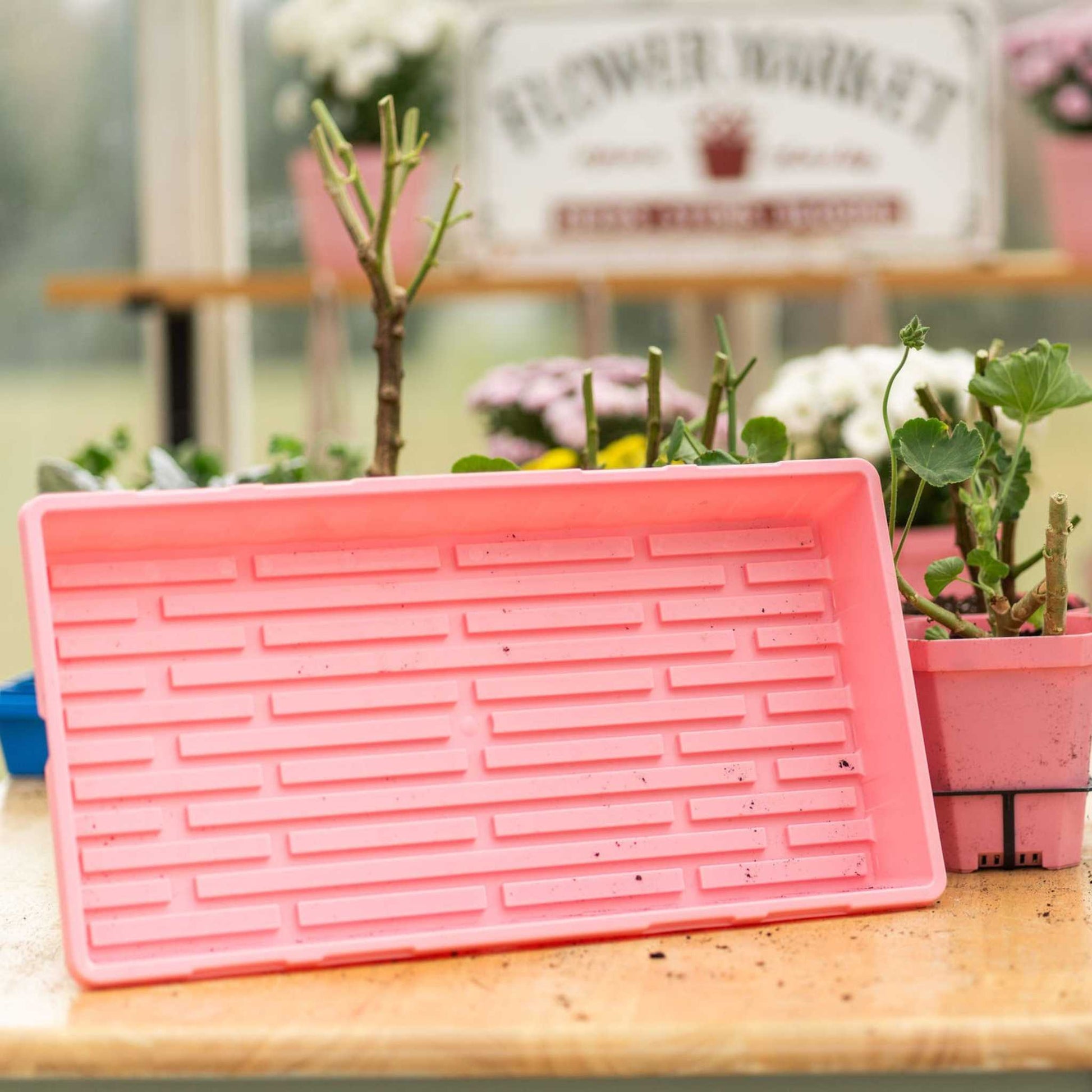 seed tray planter 1020 Extra Strength Trays