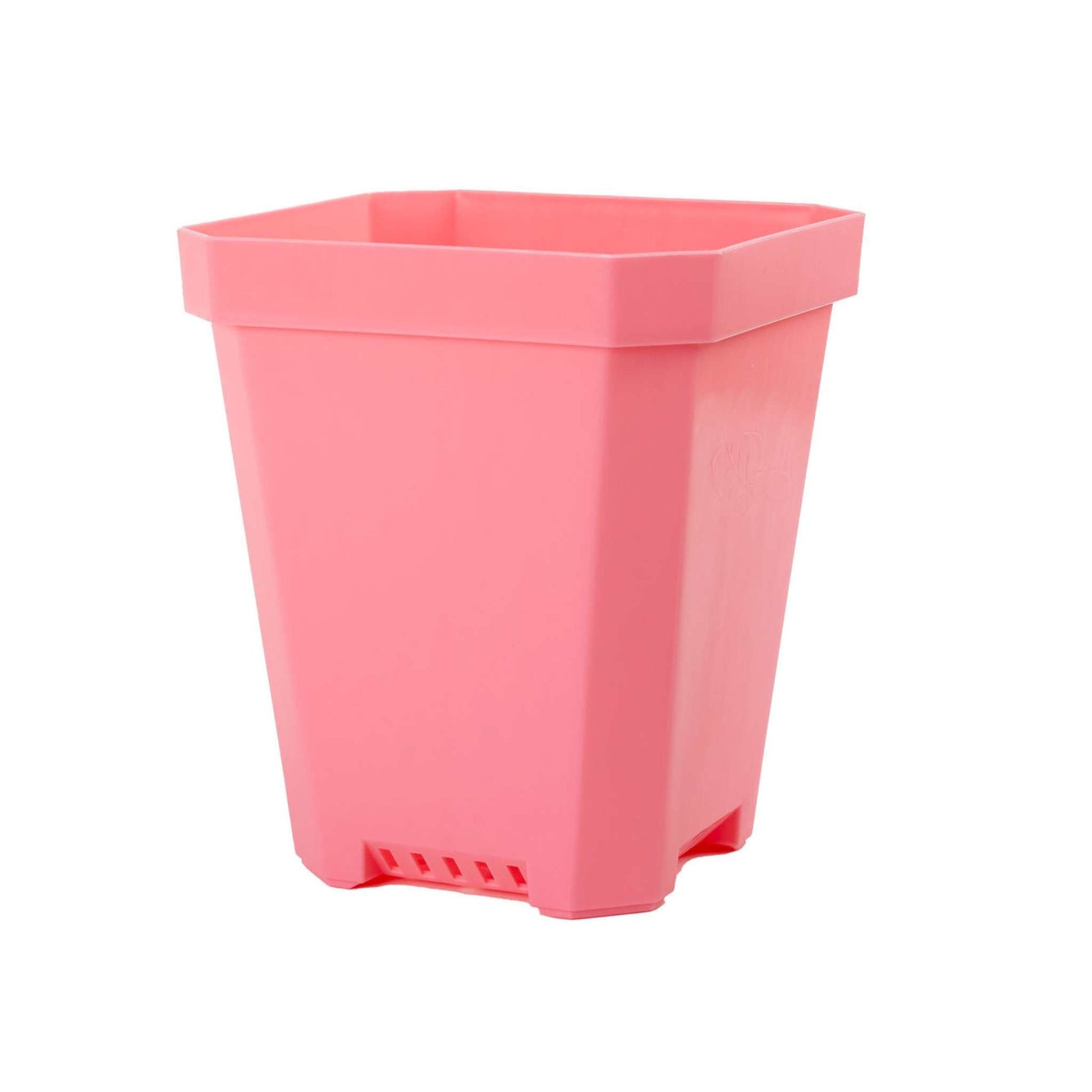 large pink plastic plant pots 5" Nursery Pots with Insert Tray – Pepper Joe's