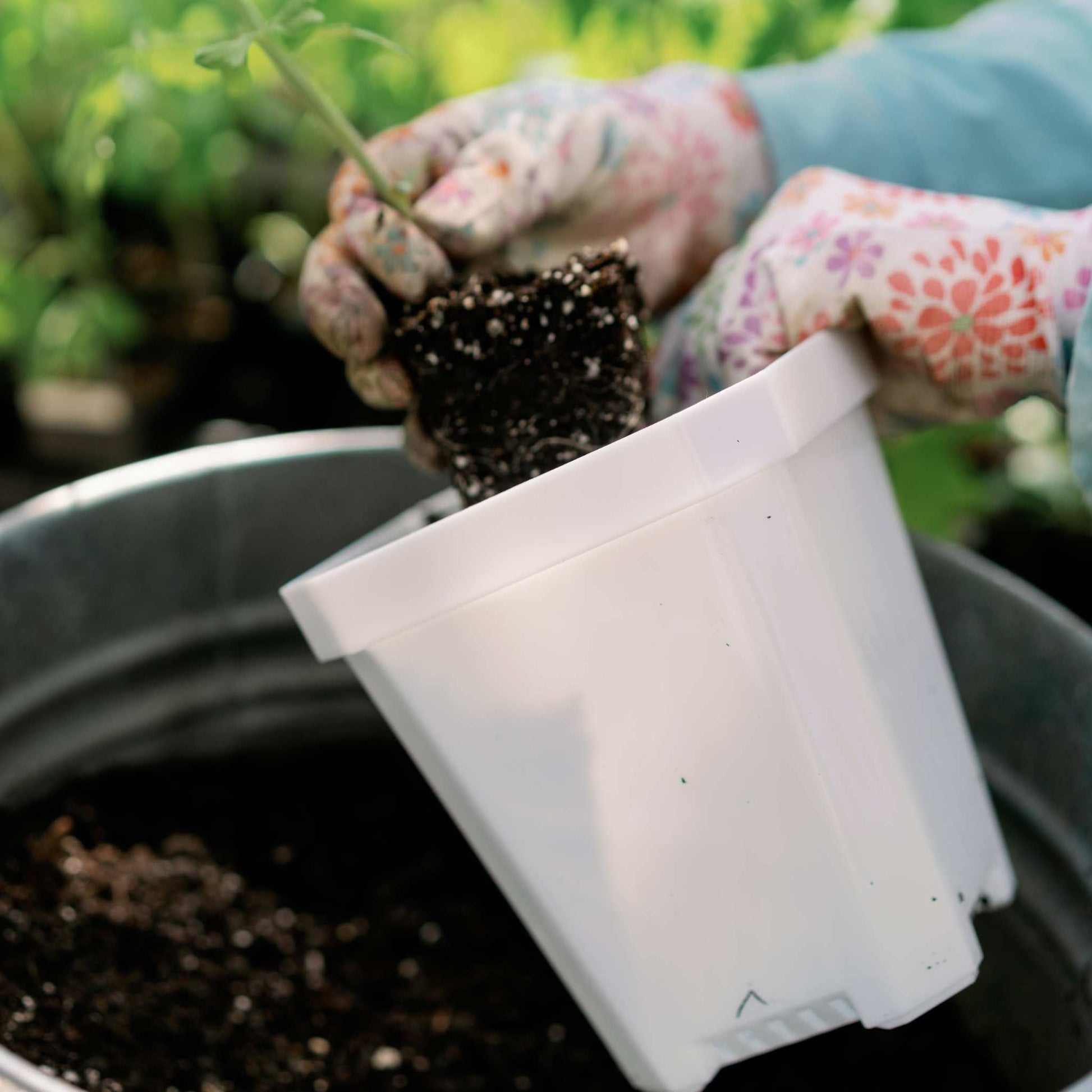 5 pots for plants 5" Heavy Duty Nursery Pots – Pepper Joe's