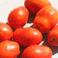 Yaqui Hybrid Tomato Seeds