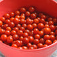 Candyland Red Tomato Seeds