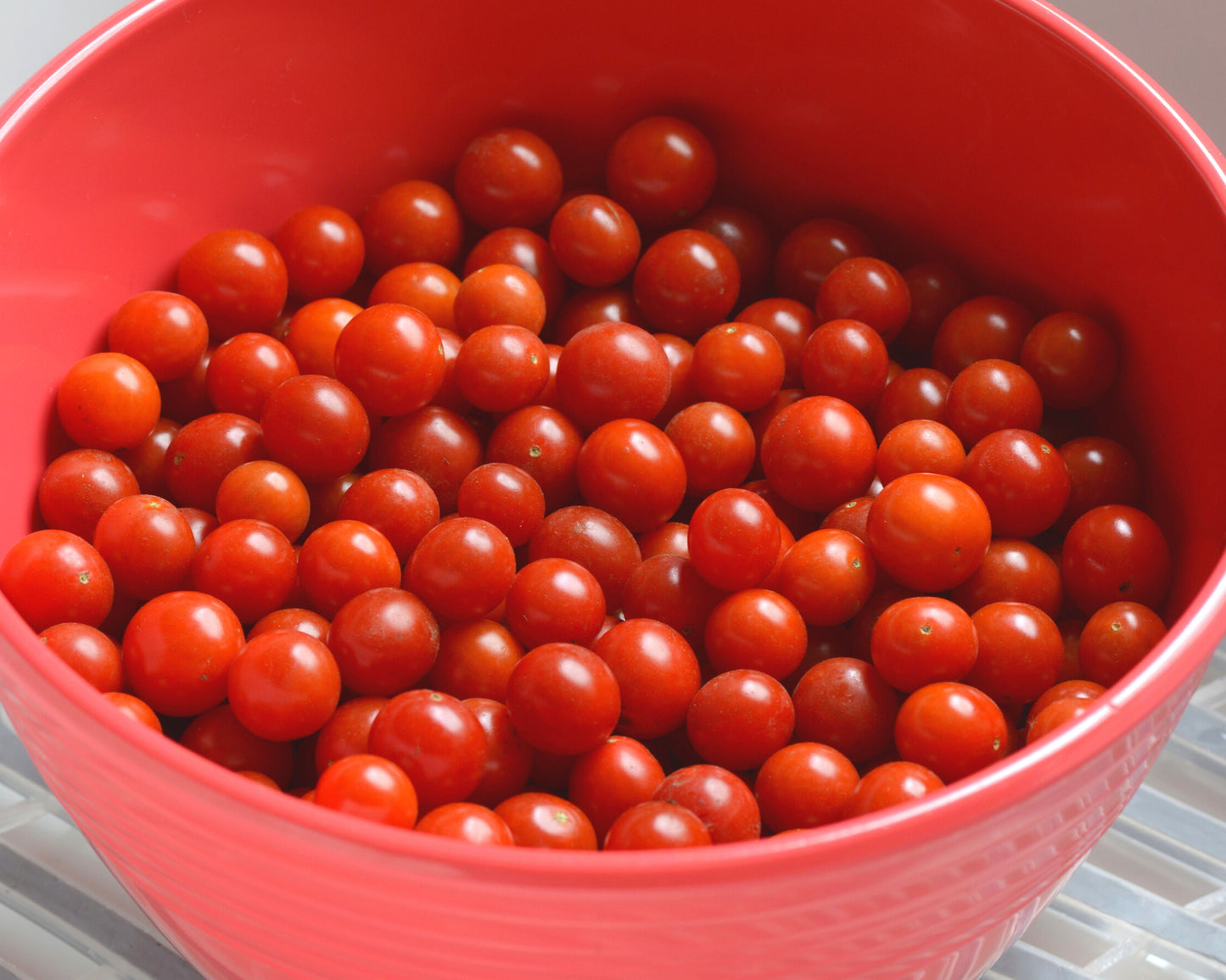 Candyland Red Tomato Seeds