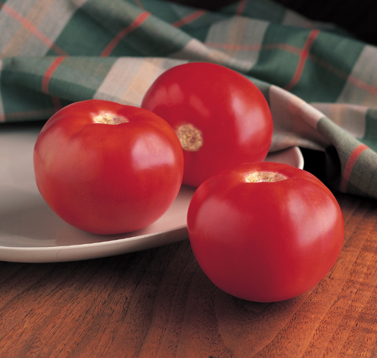 Semillas de tomate híbrido Bobcat