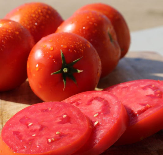 Big Beef Plus Hybrid Tomato Seeds