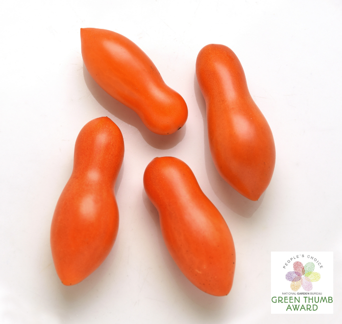 Sun Dipper Hybrid Tomato Seeds