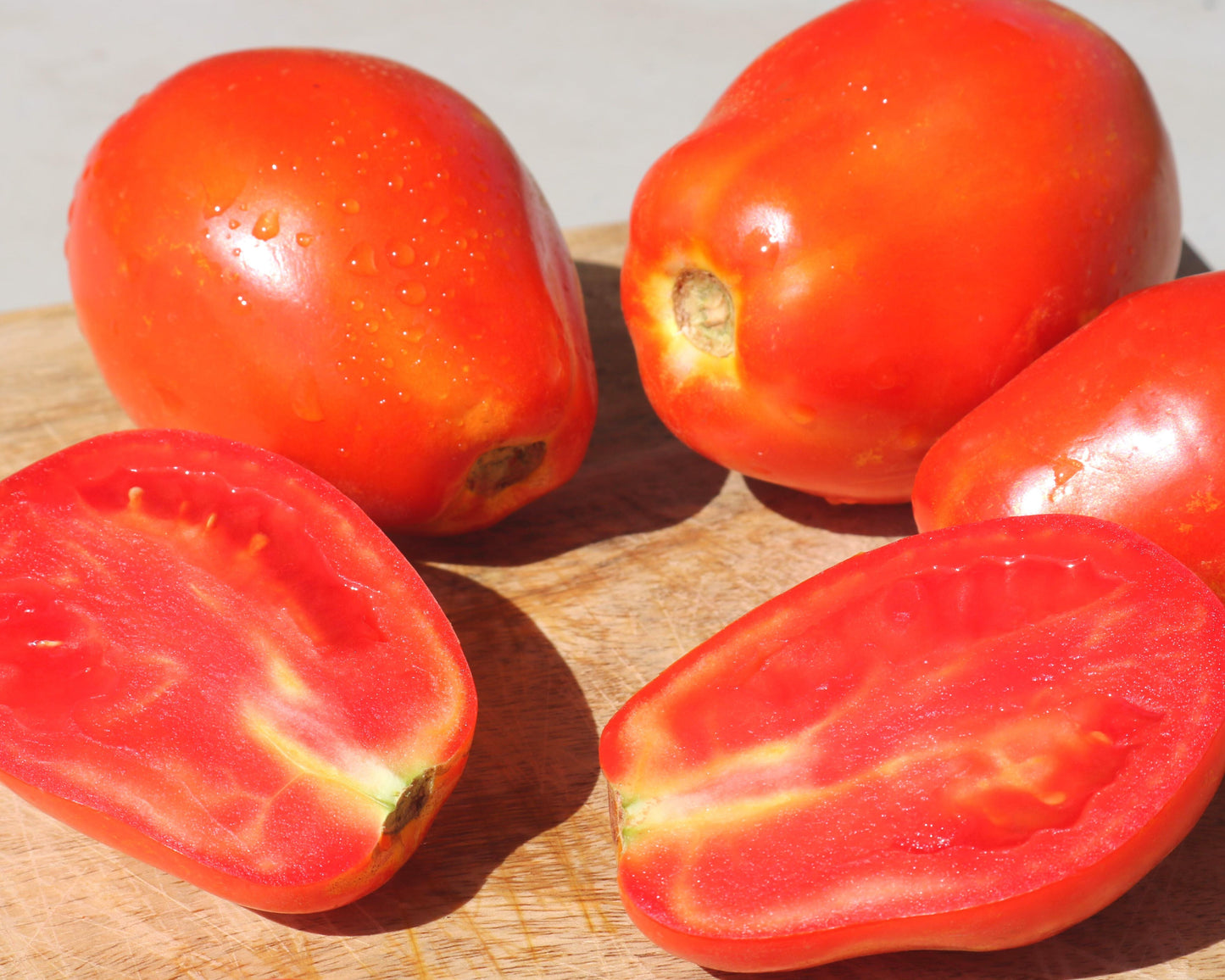 Yaqui Hybrid Tomato Seeds