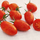 Red Torch Hybrid Tomato Seeds