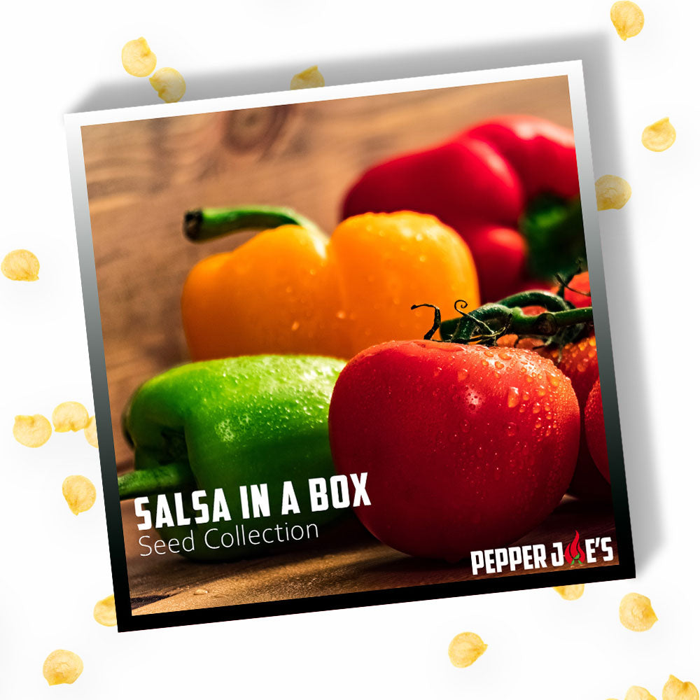 Salsa in a Box Seed Collection