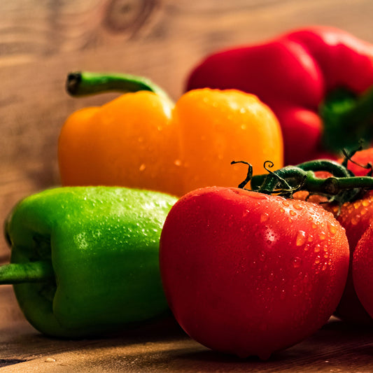 Salsa in a Box Seed Collection