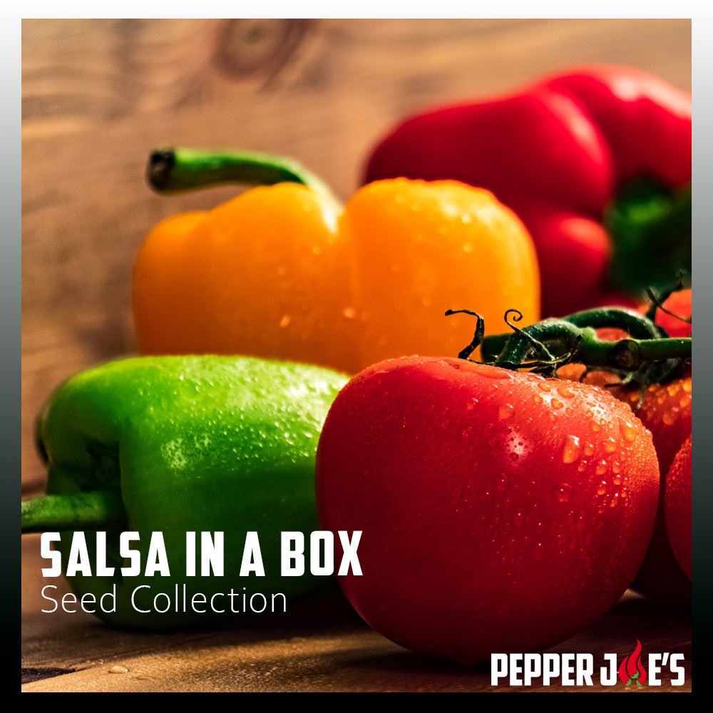 Salsa in a Box Seed Collection