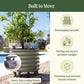 A self-watering rolling citrus tree planter with a lemon tree planted and text overlay outlining the benefits of the planter, including: heavy-duty locking wheels, rearrange your patio, move your trees to get better sunlight, and protecting your tree from freezes or storms