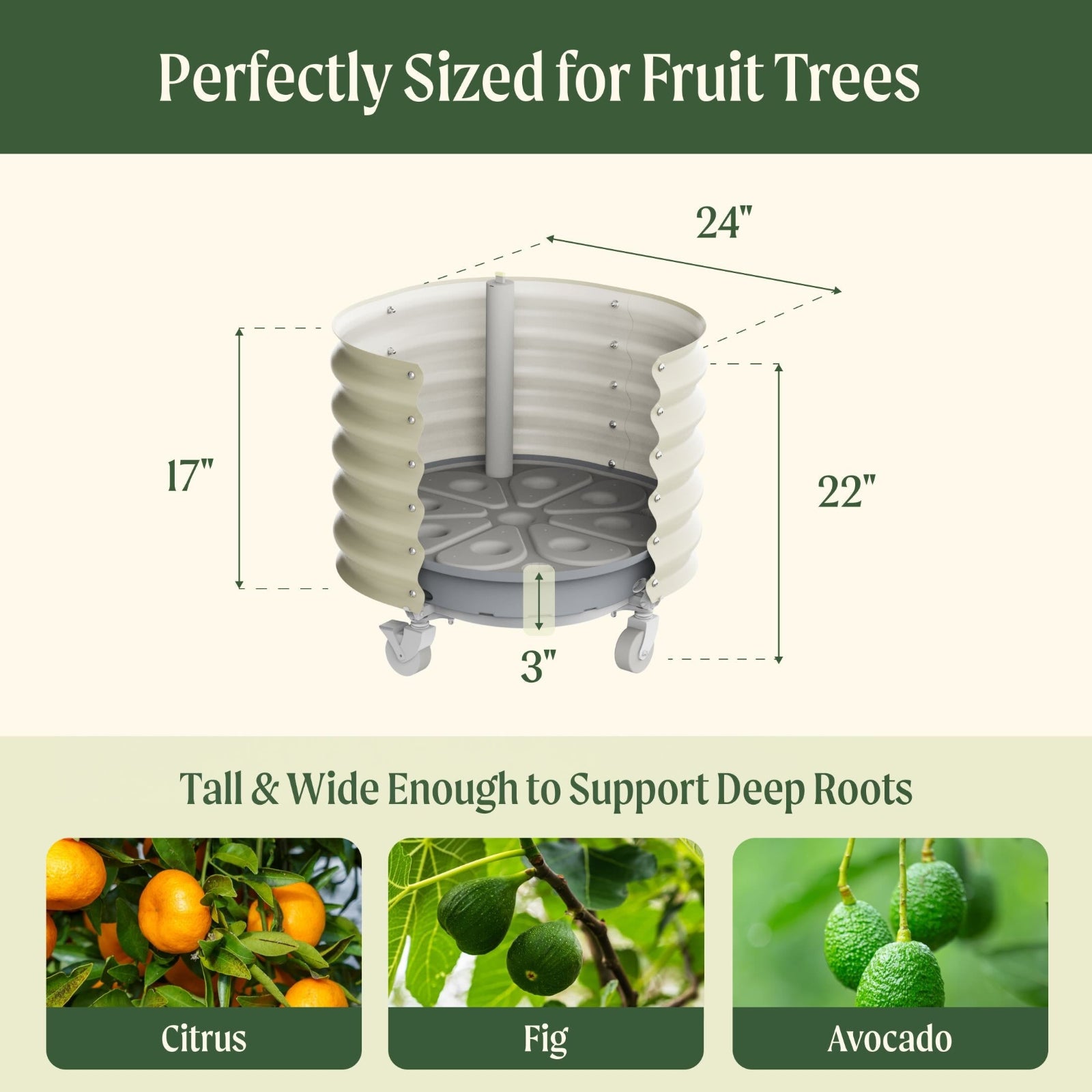 The self-watering rolling citrus tree planter on a white background with the planter dimensions: 17 inches tall for the metal sides, 24 inches wide and 22 inches tall from top to bottom of the wheels. 