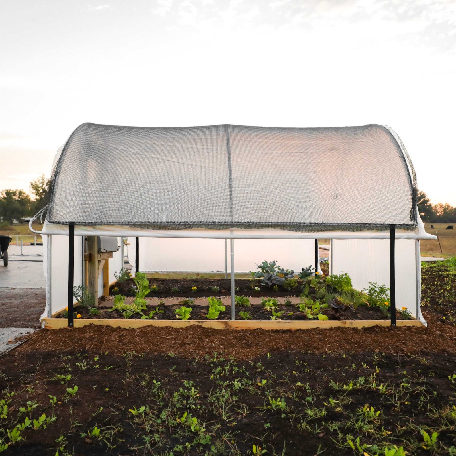 Sideview of Hobby Greenhouse with Shade Cloth Batton Straps and Rollup Sides in a backyard setting.