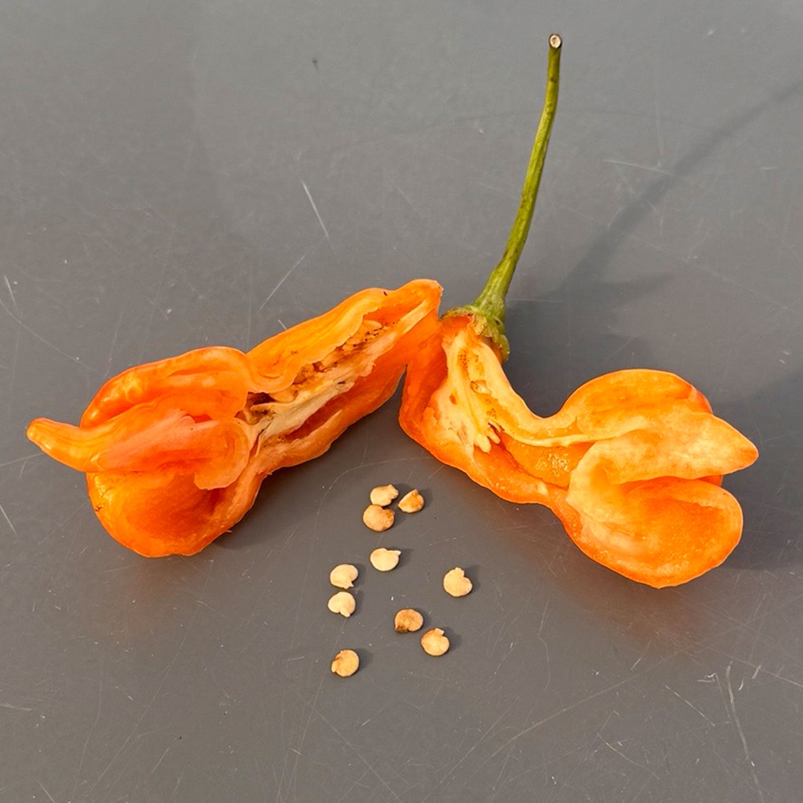 Sugar Rush Stripey Pepper Seeds