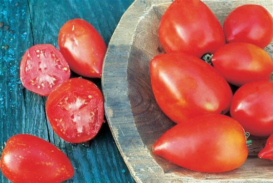 Amish Paste Tomato Seeds