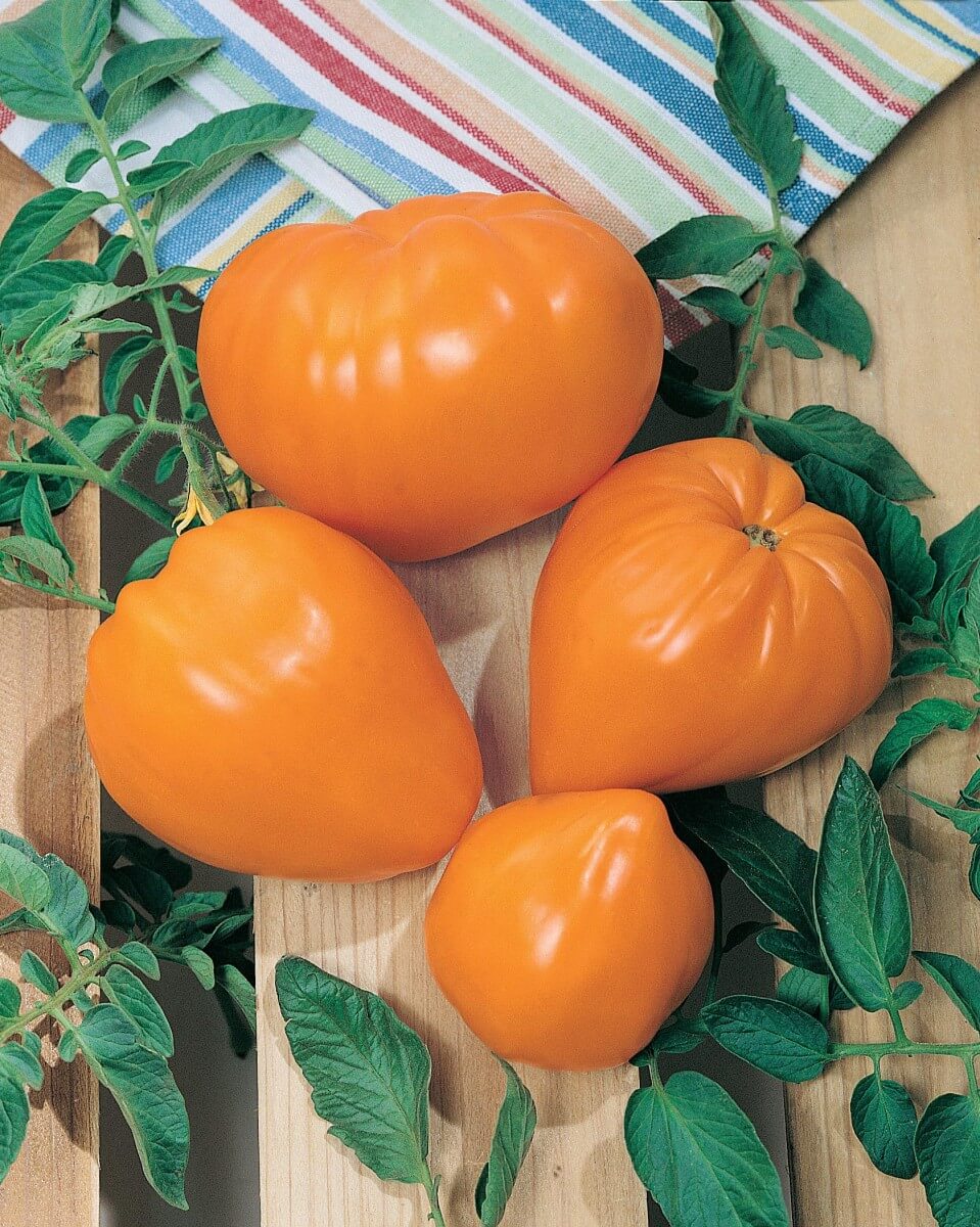 Orange Strawberry Tomato Seeds